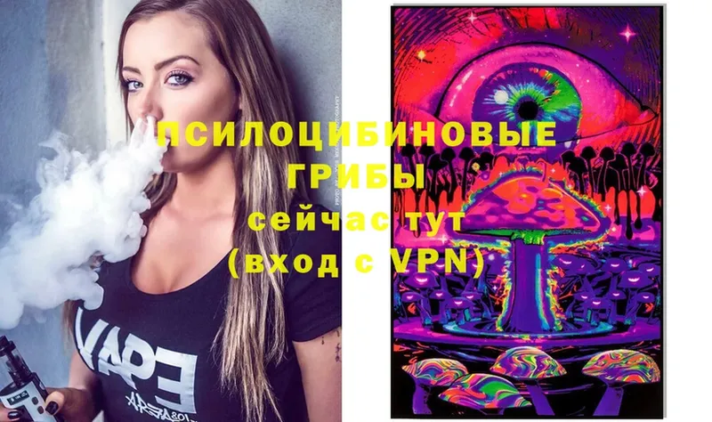 Галлюциногенные грибы Cubensis  Агрыз 